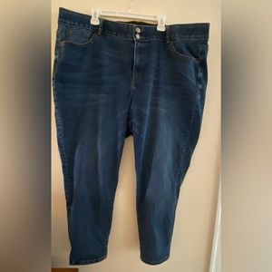 Lane Bryant Jeans Size 28